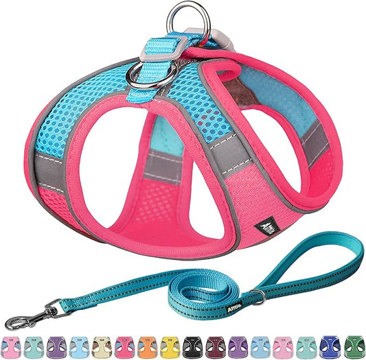 AIITLE Escape Proof Dog Harness - Step in Adjustable Dog Harness No Choke Over with Breathable Mesh and Quick-Release Buckle for Spring- Outdoor Walking, Camping, Training for Medium Dogs Hot Pink XL