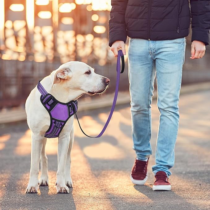 BUMBIN Dog Harness for Large Dogs, No Pull Adjustable No Choke Pet Vest with Dog Leash Fit Smart Reflective Pet Walking Harness for Training Easy Control Soft Handle Purple XL