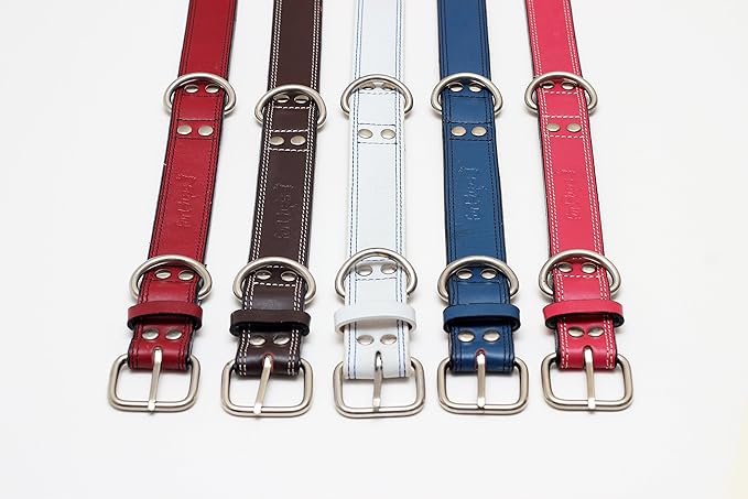Premium Leather Collars with Stainless Steel Buckles (21"-24", Blue)