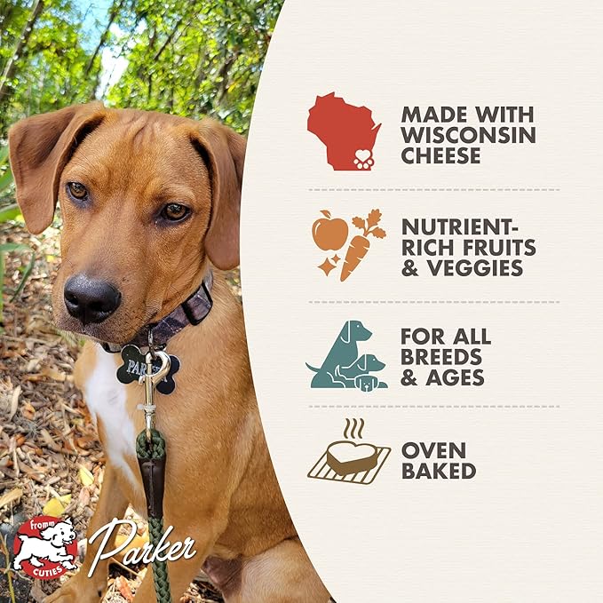 Fromm Four-Star Nutritionals Parmesan Cheese Dog Treats - Premium Oven Baked Dog Snacks - Cheese Recipe - Pack of (3) 8 oz Bags