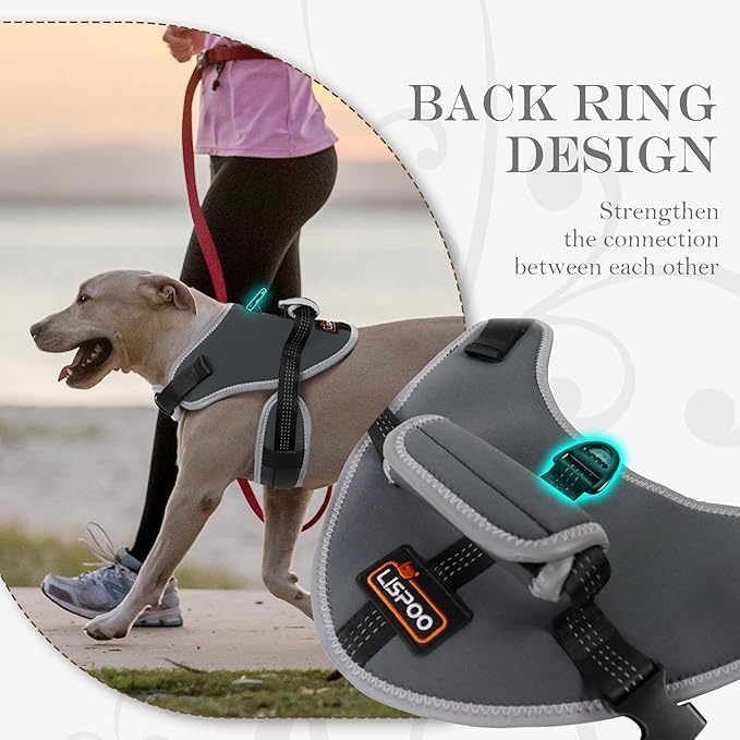Reflective No Pull Dog Harness for Medium Dogs, Easy Control Dog Vest Harness, Breathable Mesh Harness, Comfortable and Adjustable, Metal Ring and Control Handle, Gray M