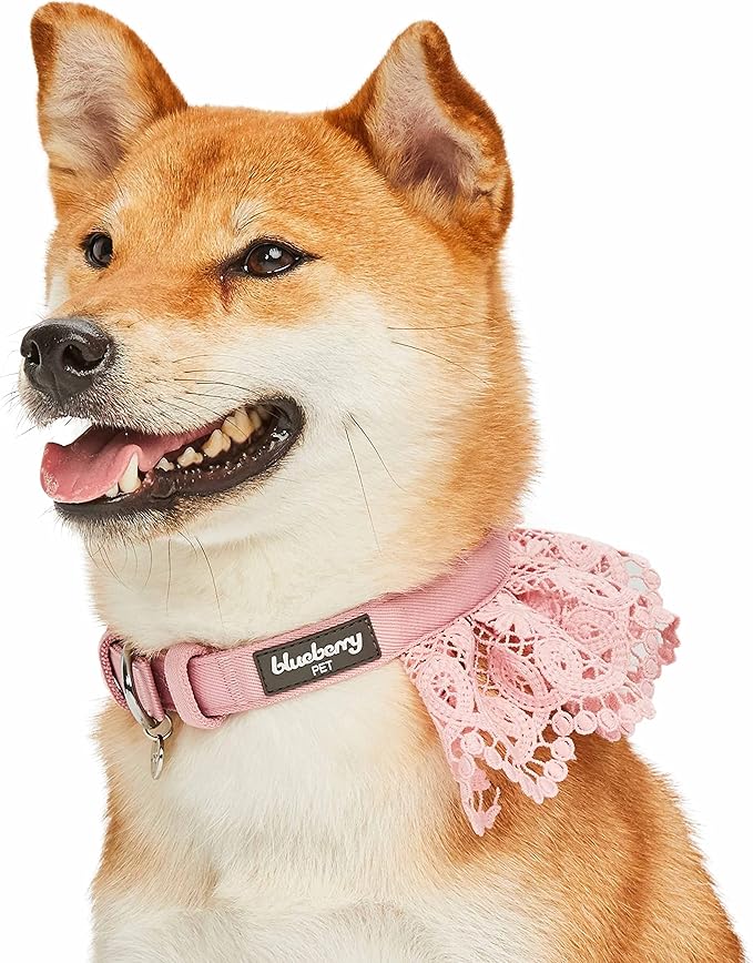 Blueberry Pet Floral Lace Adjustable Dog Collar in Baby Pink with Metal Buckle, Neck 9-12.5", for Small Breed