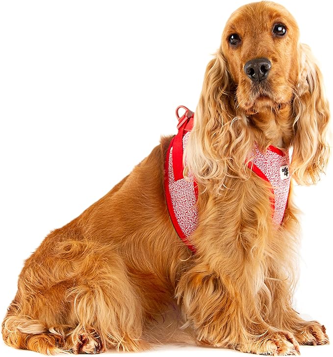 Vest Harness Merino curli Clasp Black XS