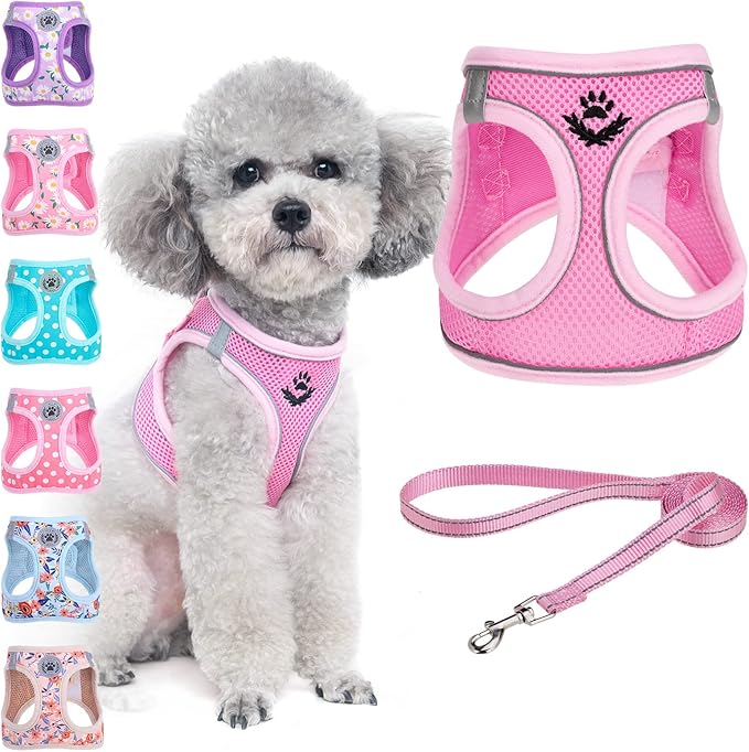 BEAUTYZOO Step in Dog Harness and Leash Set, Reflective Dog Harness No Pull No Choke Puppy Cat Harness Adjustable for XXS XS S Dogs Cats, Soft Padded Mesh Vest Harnesses for Girl and Boy Pets