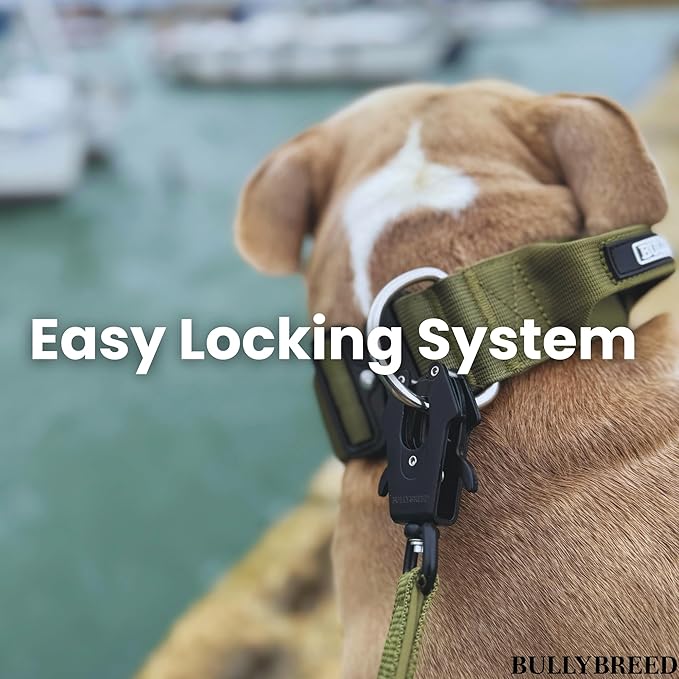 BULLYBREED Premium Dog Colar with Handle, Heavy Duty Dog Collar, Tactical Dog Collar, Quick-Release Metal Buckle, Thick Dog Collar, Dog Collar for Medium Dogs, Dog Collar for Large Dogs (Brown, M)