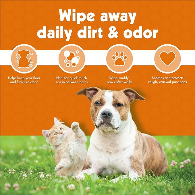 Petkin Big N' Thick Paw Wipes for Dogs, 200 Large Wipes - Clean Dirty Paws After Walks, with Paw Balm Protectant - Keep Floors and Furniture Clean - Ideal for Home or Travel - 2 Packs of 100 Wipes