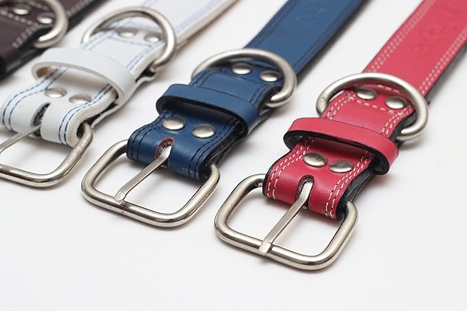 Premium Leather Collars with Stainless Steel Buckles (15"-18", Blue)