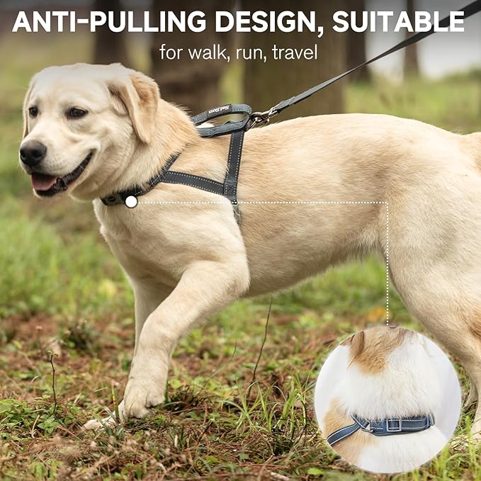 SATSUN Dog Harness & Leash Set, No Pull Dog Harness with 2 Adjustable Points & 1 Leash Clip, Reflective Comfortable Dog Vest with Easy Control Handle Ideal for Walking and Training, Army Green,L