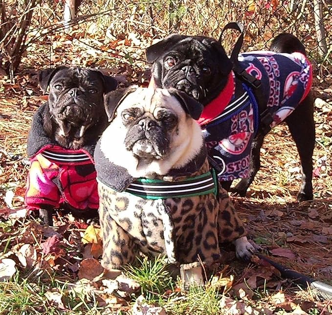 ComfortFlex Sport Harness - American Made No Pull Dog Harness for Small, Medium, Large Dogs - Padded, Reflective No Rub Harness for Walking, Running and Control - Small/Medium, Purple