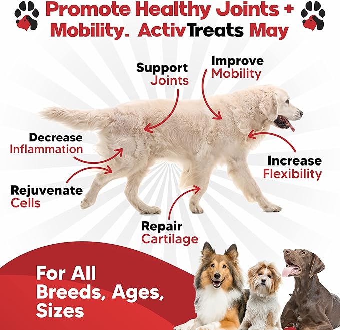Glucosamine for Dogs Hip and Joint Supplement - Safe Joint Support for Dogs - Dog Joint Supplement with Glucosamine Chondroitin MSM Turmeric for Dogs - 120 Joint Care Chews for Dogs ActivTreats