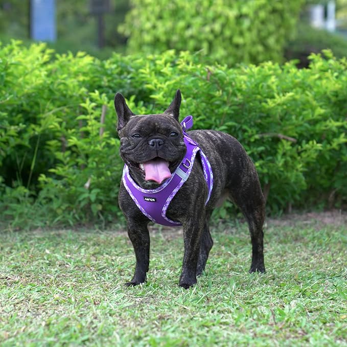 AMTOR Small Dog Harness with Leash Set, No Escape Easy Walk Puppy Harnesses for Training Walking, Step-in Reflective Soft Dogs Vest for XS S Medium Extra-Small Large Sized Dog(Purple,S)