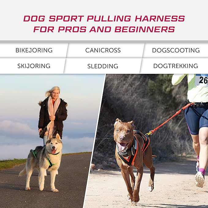 Dog Weight Pulling Harness, XBack for Canicross, Dog Sport, Bike Joring, Ski Joring, Sled Harness, Dog mushing, Dog Running Harness, Black Neongreen 4XL