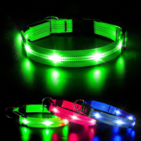 BSEEN Light Up Dog Collars - Glowing LED Dog Collar, Reflective Puppy Collar, Adjustable Lighted Dog Collar, Rechargeable Pet Collar for Night Walking (Green-II, Large)