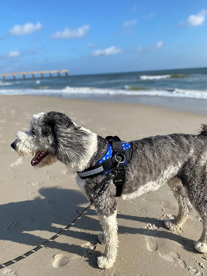 ShawnCo Essential Dog Harness, No-Pull Pet Vest with 3 Leash Clips, No Choke, Reflective, Adjustable and Padded, for Easy Walking and Training for Small, Medium and Large Dogs (White Sharks, L)