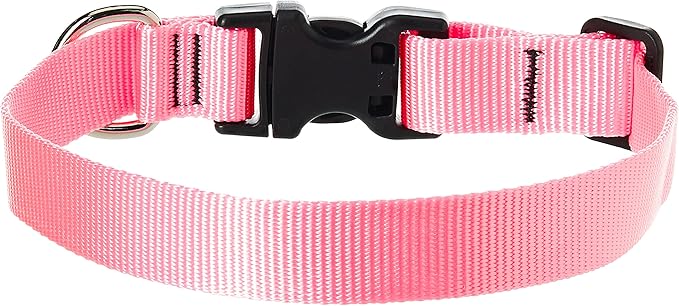 LupinePet Basics 1" Pink 12-20" Adjustable Collar for Medium and Larger Dogs