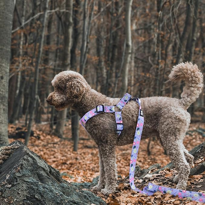 QQPETS Dog Harness Leash Set Adjustable Heavy Duty No Pull Halter Harnesses for Small Medium Large Breed Dogs Back Clip Anti-Twist Perfect for Walking