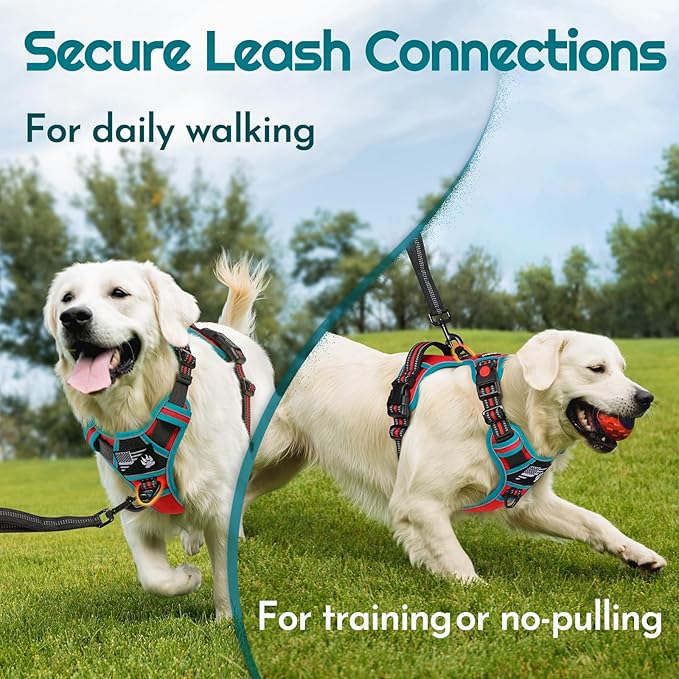 Eagloo Dog Harness Medium Sized, Easy Wearing with 3 Buckles, Adjustable No Pull Pet Harness with 2 Rings for Walking, No Chock Reflective Soft Padded Vest with Control Handle, Red & Teal, M