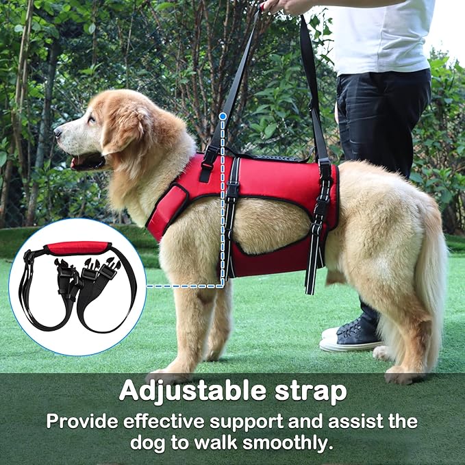 Dog Lift Harness, Full Body Support & Recovery Sling, Pet Rehabilitation Lifts Vest Adjustable Breathable Straps for Old, Disabled, Joint Injuries, Arthritis, Paralysis Dogs Walk (Red, XL)