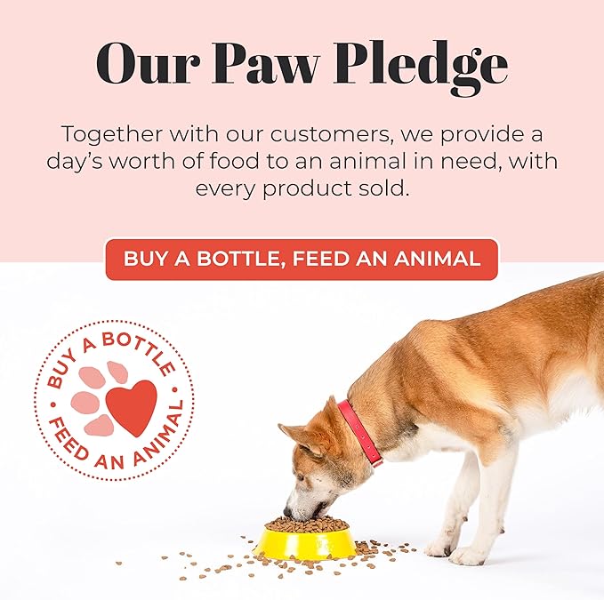 Skout's Honor Probiotic Pet Shampoo & Conditioner with Avocado Oil & Omega-3s, 97% Natural, Paraben & Sulfate-Free, Cruelty-Free, 16oz, Honeysuckle