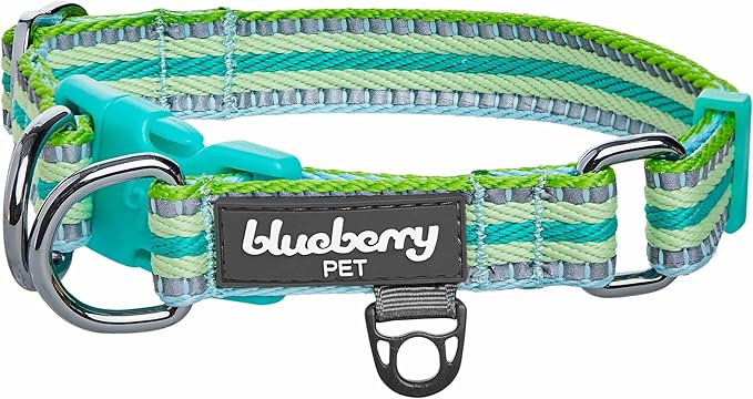 Blueberry Pet 3M Reflective Dog Collars | Adjustable Dog Collar w/Multi-Colored Stripe - Mint Blue and Green | Nylon Pet Collars for Dogs & Refflective Dog Collar for Small Dogs