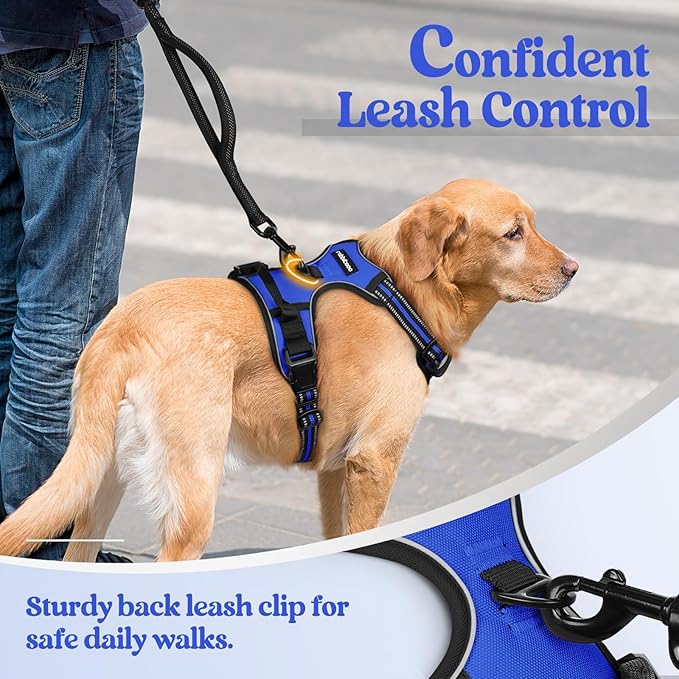 rabbitgoo Dog Harness, No-Pull Pet Harness with 2 Leash Clips, Adjustable Soft Padded Dog Vest, Reflective No-Choke Pet Oxford Vest with Easy Control Handle for Large Dogs, Dazzling Blue, XL