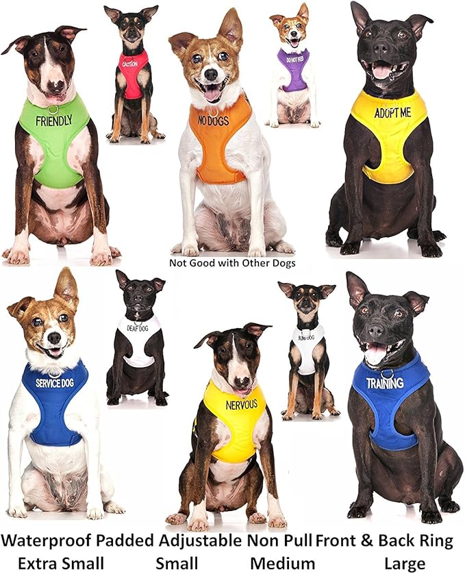 FRIENDLY (Known as Friendly to all) Green Colour Coded Non-Pull Front and Back D Ring Padded and Waterproof Vest Dog Harness PREVENTS Accidents By Warning Others Of Your Dog In Advance (M)