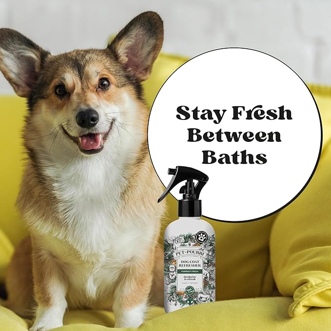 Pet-Pourri Dog Coat Deodorizing Spray – Plant Derived Ingredients – Vet Recommended – Fir + Amber + Cedarwood – Paraben & Sulfate-Free - Grooming perfume Spray for Dog Odor