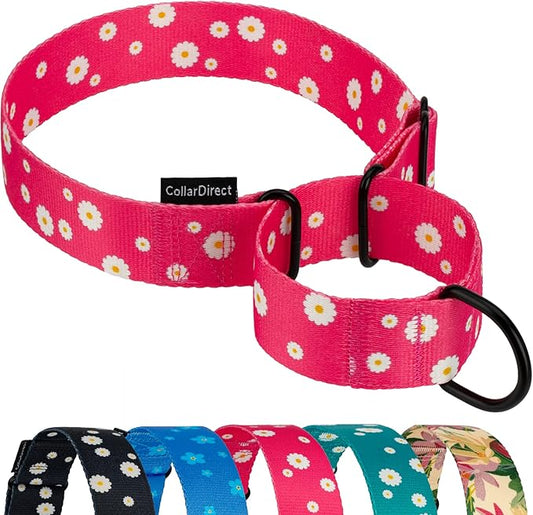 CollarDirect Martingale Collars for Dogs Heavy Duty Floral Pattern Female Safety Nylon Training Wide Collar Flower Design Large Medium (L, Neck Size 15"-20", Pink)