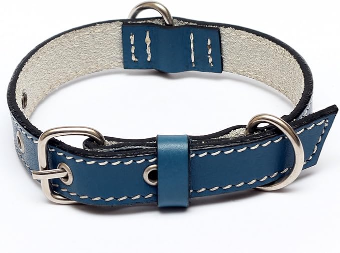 Premium Leather Collars with Stainless Steel Buckles (9"-12", Blue)