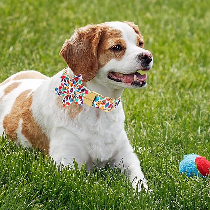 Unique Style Paws Easter Day Dog Collar with Bow Colorful Egg Rabbit Dog Collar Bowtie Bowtie Collar for Large Medium Small Dogs