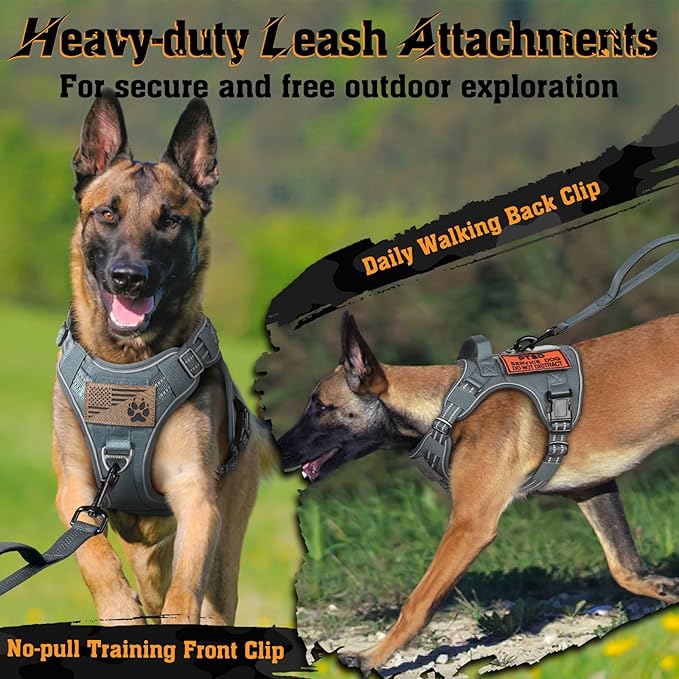 rabbitgoo Dog Harness Medium Sized No Pull, Tactical Service Dog Vest with Molle and Control Handle, Adjustable and Reflective Military Pet Harness for Easy Walking and Training, Grey, M