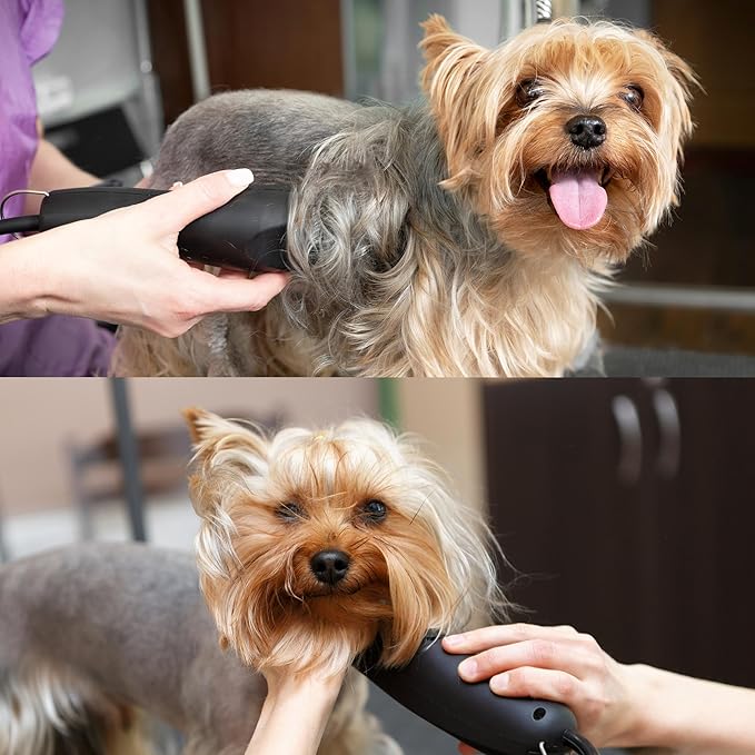 Skip Tooth Wide 4 Blade Dog Grooming 4W Cuts Length 3/8"-9.6mm Japanese High Carbon Steel Dog Grooming Blade Supplies | Detachable Blade Clipper (B4W)