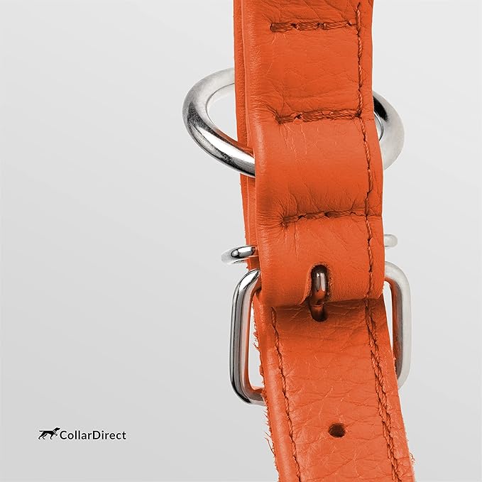 CollarDirect Rolled Leather Dog Collar, Soft Padded Round Puppy Collar, Handmade Genuine Leather Collar Dog Small Large Cat Collars 13 Colors (11-14 Inch, Orange Textured)