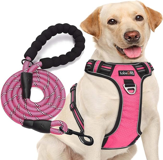tobeDRI No Pull Dog Harness Adjustable Reflective Oxford Easy Control Medium Large Dog Harness with A Free Heavy Duty 5ft Dog Leash (S (Neck: 13"-18", Chest: 17.5"-22"), Pink Harness+Leash)