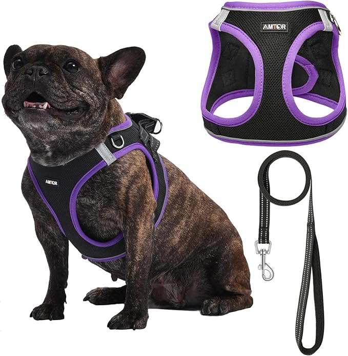 AMTOR Small Dog Harness with Leash Set, No Escape Easy Walk Puppy Harnesses for Training Walking, Step-in Reflective Soft Dogs Vest for XS S Medium Extra-Small Large Sized Dog(Black/Purple)