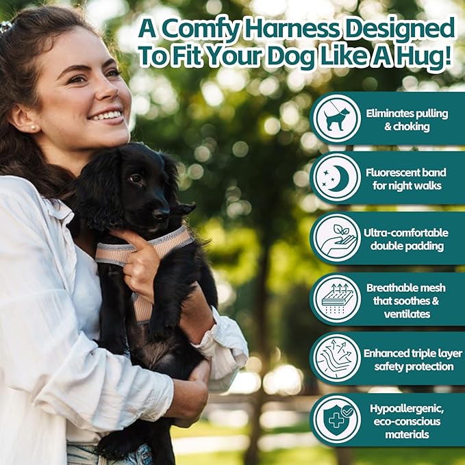 Dog Harness with Multifunction Dog Leash,No Pull Reflective Step-in Harness for Soft Adjustable No Choke Escape Proof,Easy Walk Dog Harness for Puppy,Small Dogs (Pink, XS)