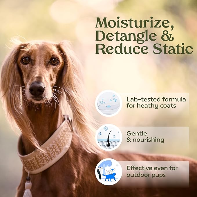 PAWFUME Dog Perfume Spray Long Lasting Scent for Grooming, Show Dog, 2-Pack – Keep Your Pup Fresh All Day – Hypoallergenic, Alcohol-Free, Detangling & Moisturizing – Salon-Quality Dog Cologne Spray
