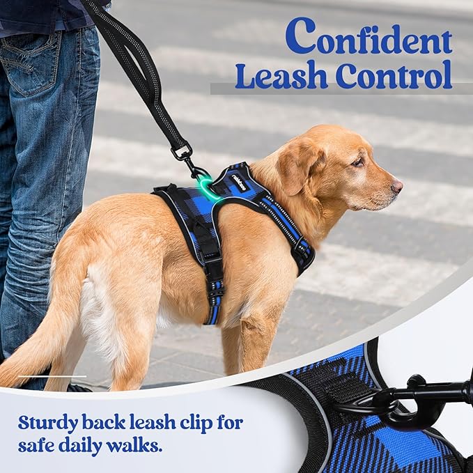 rabbitgoo Dog Harness Medium Sized Dog No Pull, Comfortable Padded Plaid Dog Harness with Handle Easy Control, Adjustable Reflective Puppy Pet Harness Vest with 2 Leash Clips, Blue Plaid, M