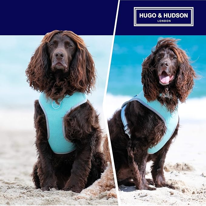 HUGO & HUDSON Dog Harness No-Pull Pet Harness Adjustable Quick Dry Mesh Padded Vest, Aqua, L