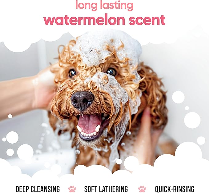 Watermelon Dog Shampoo by Buddycare | Deep Cleansing Shampoo for Dogs | Watermelon Scented | with Aloe Vera and Pro Vitamin B5 (16.90oz)