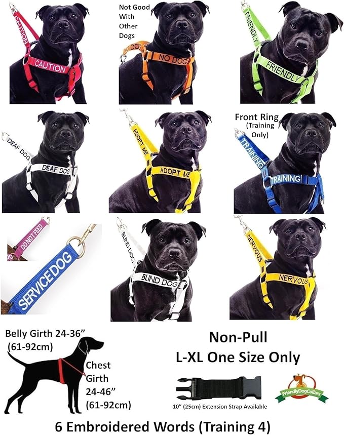 Friendly (Known as Friendly to All) Green Colour Coded Non-Pull Front and Back D Ring Padded and Waterproof Vest Dog Harness Prevents Accidents by Warning Others of Your Dog in Advance (XS)