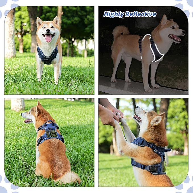 Dog Harness, No Pull Pet Harness No-Choke with 2 Metal Rings 3 Buckles Reflective Adjustable Soft Padded Pet Vest with Easy Control Handle for Small Medium Large Dogs (Small, Blue)
