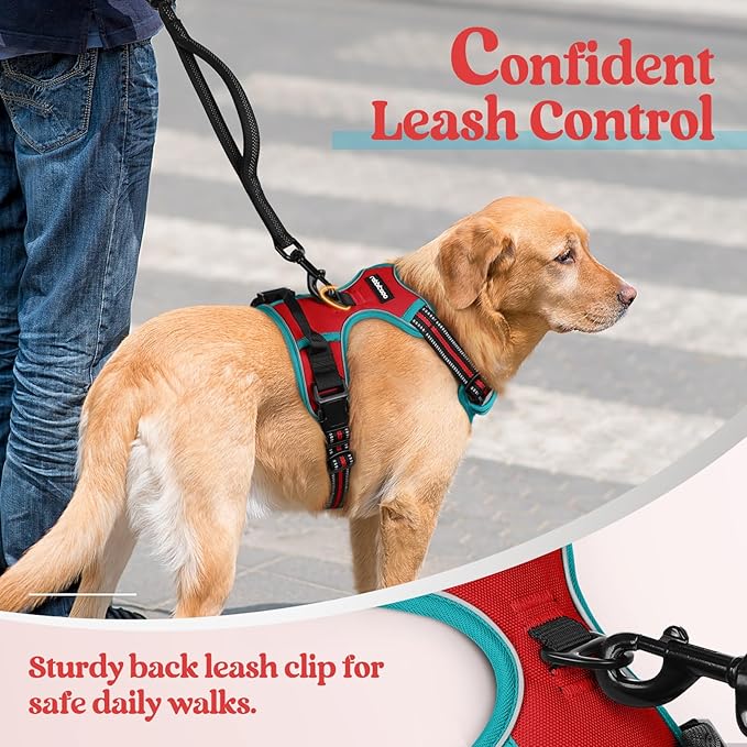 rabbitgoo Dog Harness, No-Pull Pet Harness with 2 Leash Clips, Adjustable Soft Padded Dog Vest, Reflective No-Choke Pet Oxford Vest with Easy Control Handle for Large Dogs, Red & Teal, L
