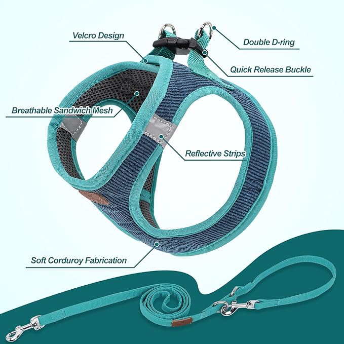 Dog Harness with Multifunction Dog Leash,No Pull Reflective Step-in Harness for Soft Adjustable No Choke Escape Proof,Easy Walk Dog Harness for Puppy,Small Dogs (Blue&Green, XS