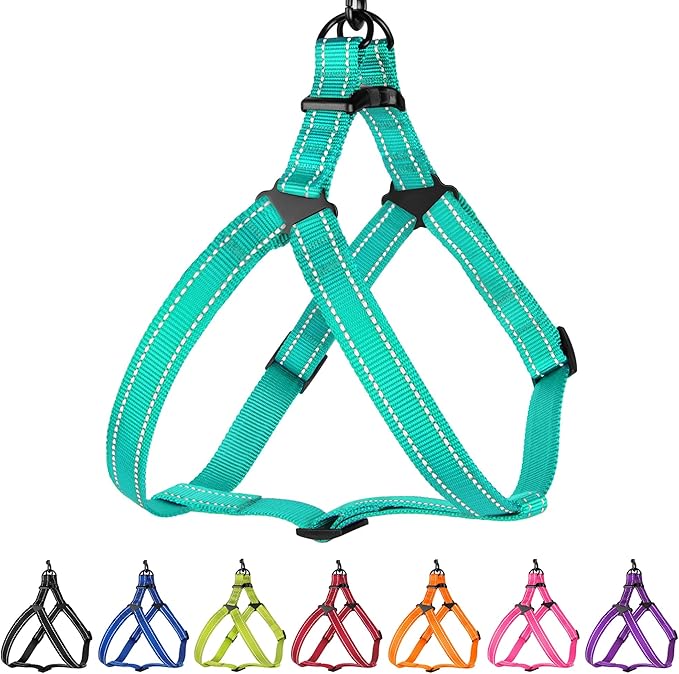 CollarDirect Reflective Dog Harness Step in Small Medium Large for Outdoor Walking, Comfort Adjustable Harnesses for Dogs Puppy Pink Black Red Purple Mint Green Orange Blue (Small, Mint Green)