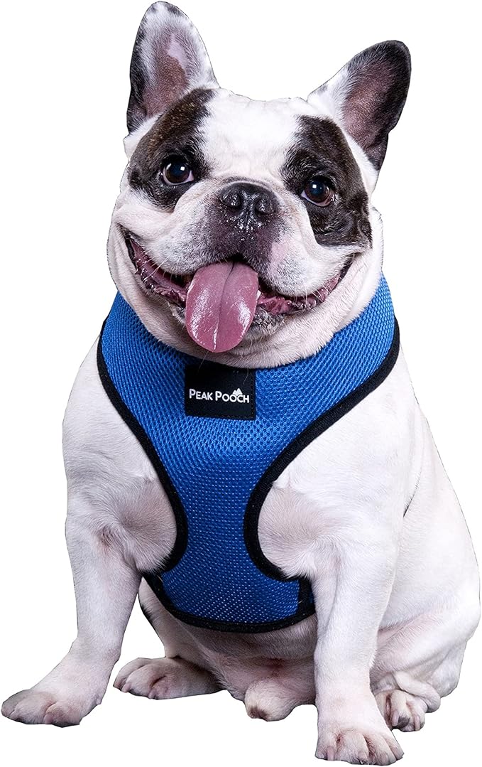 Downtown Pet Supply - Dog Harness for Small Dogs No-Pull - Step in Dog Harness - Padded Mesh Fabric Dog Vest with Adjustable Belly Belt & Quick-Snap Clip - Pink - 14 in Neck - Large Dog Harness