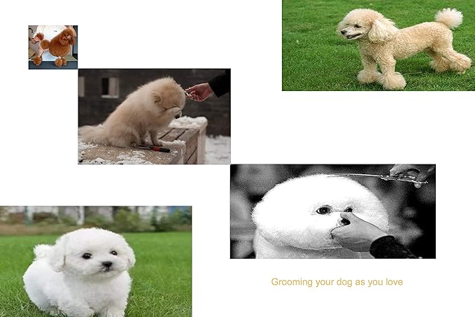 Professional Dog Grooming Scissors 7.0" Classic Dogs Scissors Shear Curved Blade Off-set Handle 440C Stainless Steel Forged (7.0" Curved)