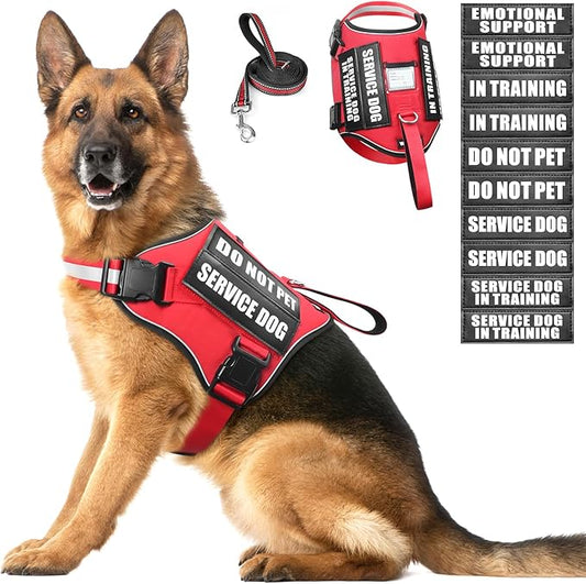 Service Dog Harness and Leash Set, Training Dog Vest with 10 Dog Patches, Emotional Support Therapy Dog Vest Harness for Small Medium Large and Extra Large Dogs(Red, XL)