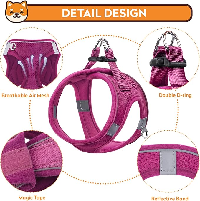 Dog Harness with Leash Set, No-Pull Step-in Reflective Pet Harness with 1 Leash Clips, Adjustable Soft Padded Easy Walk Dog Vest for Small Medium Large Dogs, Cats(Rose Red, XXSmall)