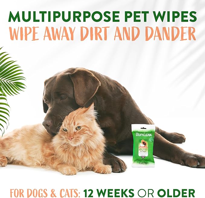TropiClean Dog Wipes for Paws, Butt, Face, and Body, Anytime Cleaning and Deodorizing Pet Wipes, Safe for Licking, Papaya Scent, Cat Safe, 20ct